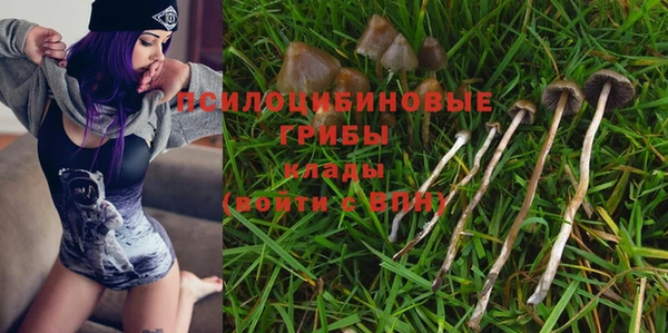ешки Армянск