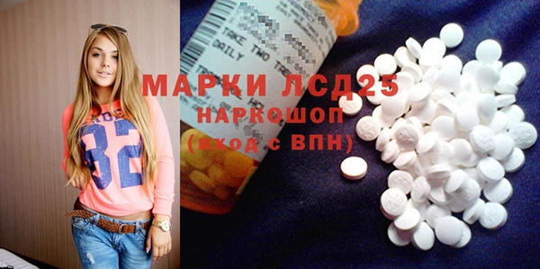 дживик Аркадак