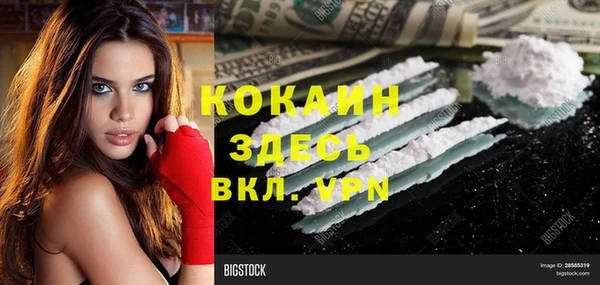 дживик Аркадак