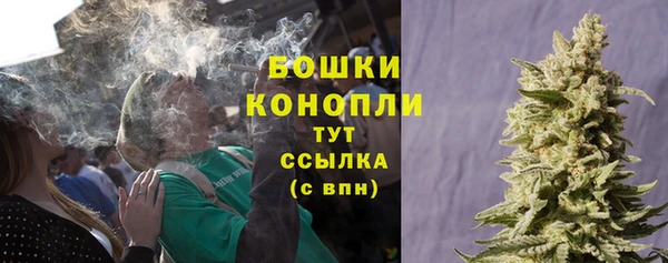 дживик Аркадак