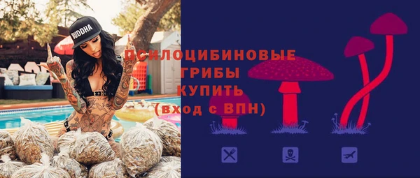 дживик Аркадак