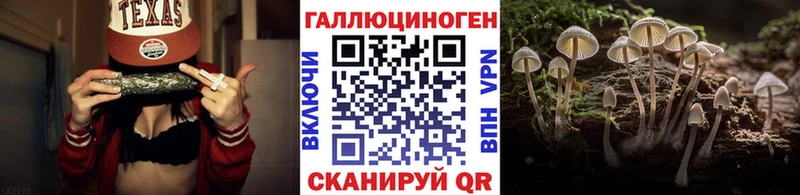 Псилоцибиновые грибы GOLDEN TEACHER  Суровикино 